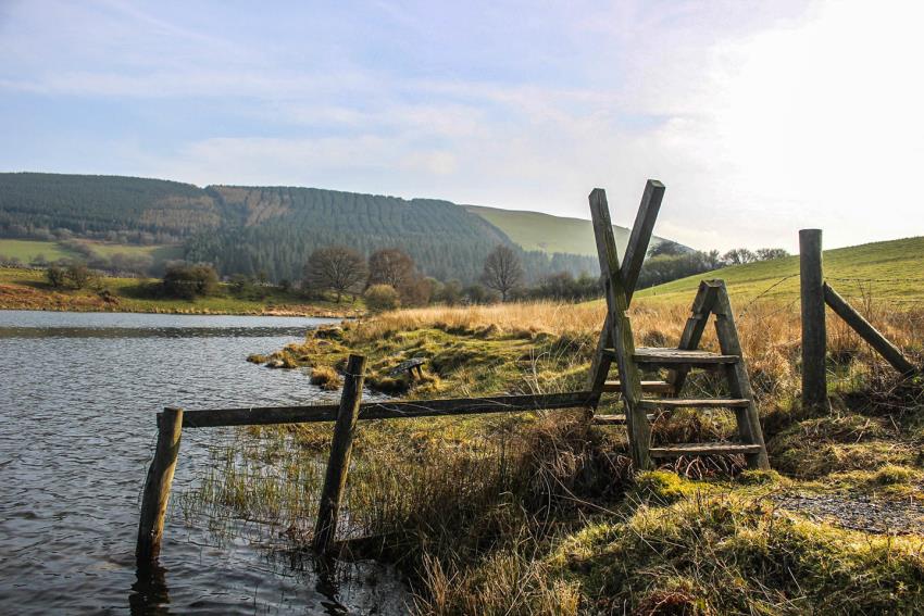 Rhayader and Elan Valley AA