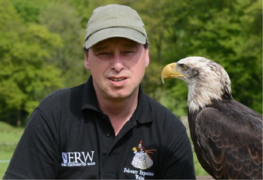 Raptor Experience Wales
