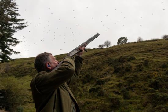 Located in Llandinam, 4 miles east of Llanidloes, Plas Dinam driven Pheasant and Partridge shoot encompasses in excess of 5,000 acres...