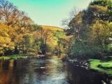 Rhayader and Elan Valley AA